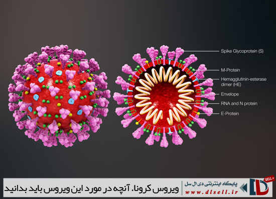 ویروس-کرونا-coronavirus