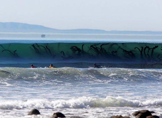 تصاویری ترسناک از اقیانوس ! - پایگاه اینترنتی دی ال سل