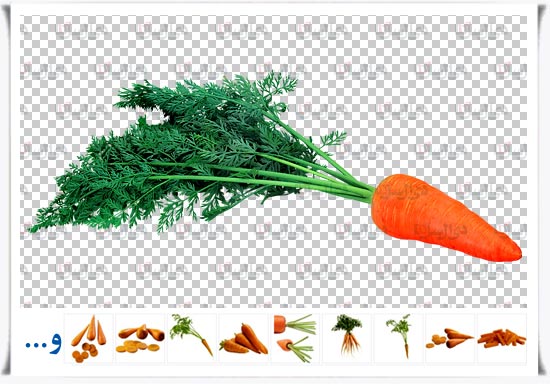 مجموعه فایل لایه باز هویج با زمینه شفاف open layer Carrot