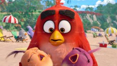 پرندگان خشمگین 2 – The Angry Birds 2 